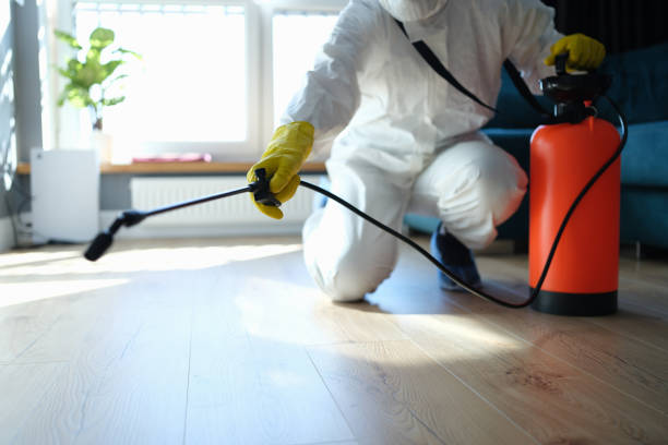 Reliable Sewage Cleanup contractor in Grove City, OH by Trauma Clean Pros